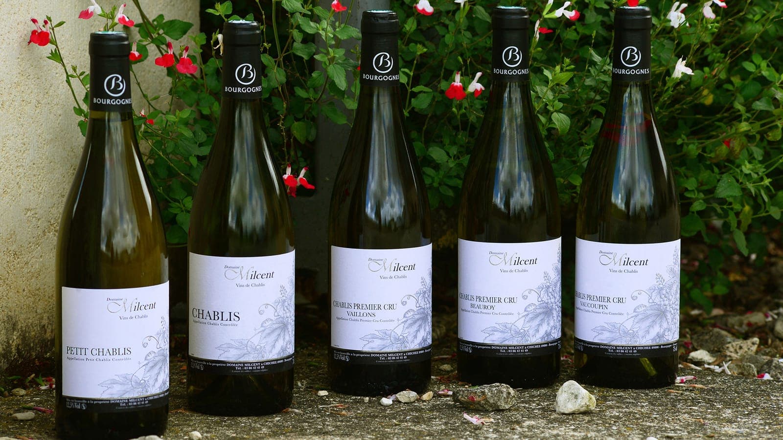 Domaine Milcent