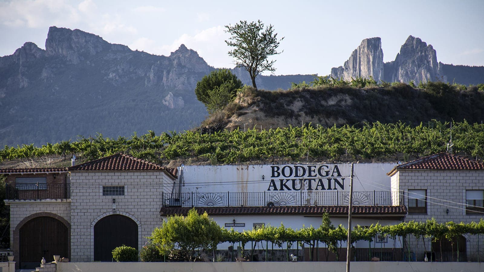 Bodega Akutain