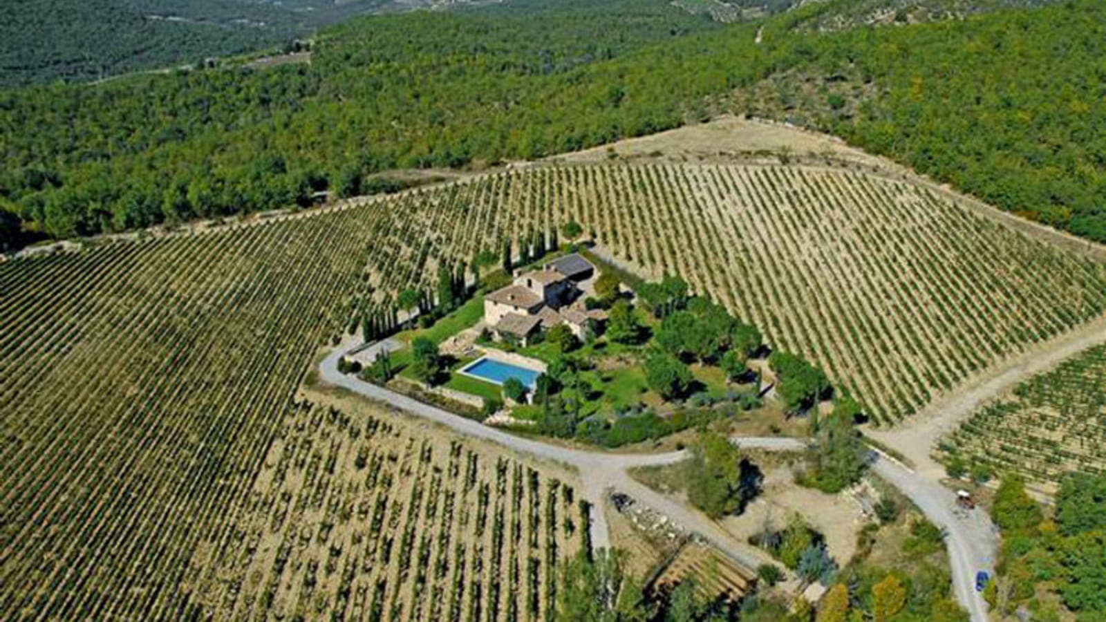 Borratella