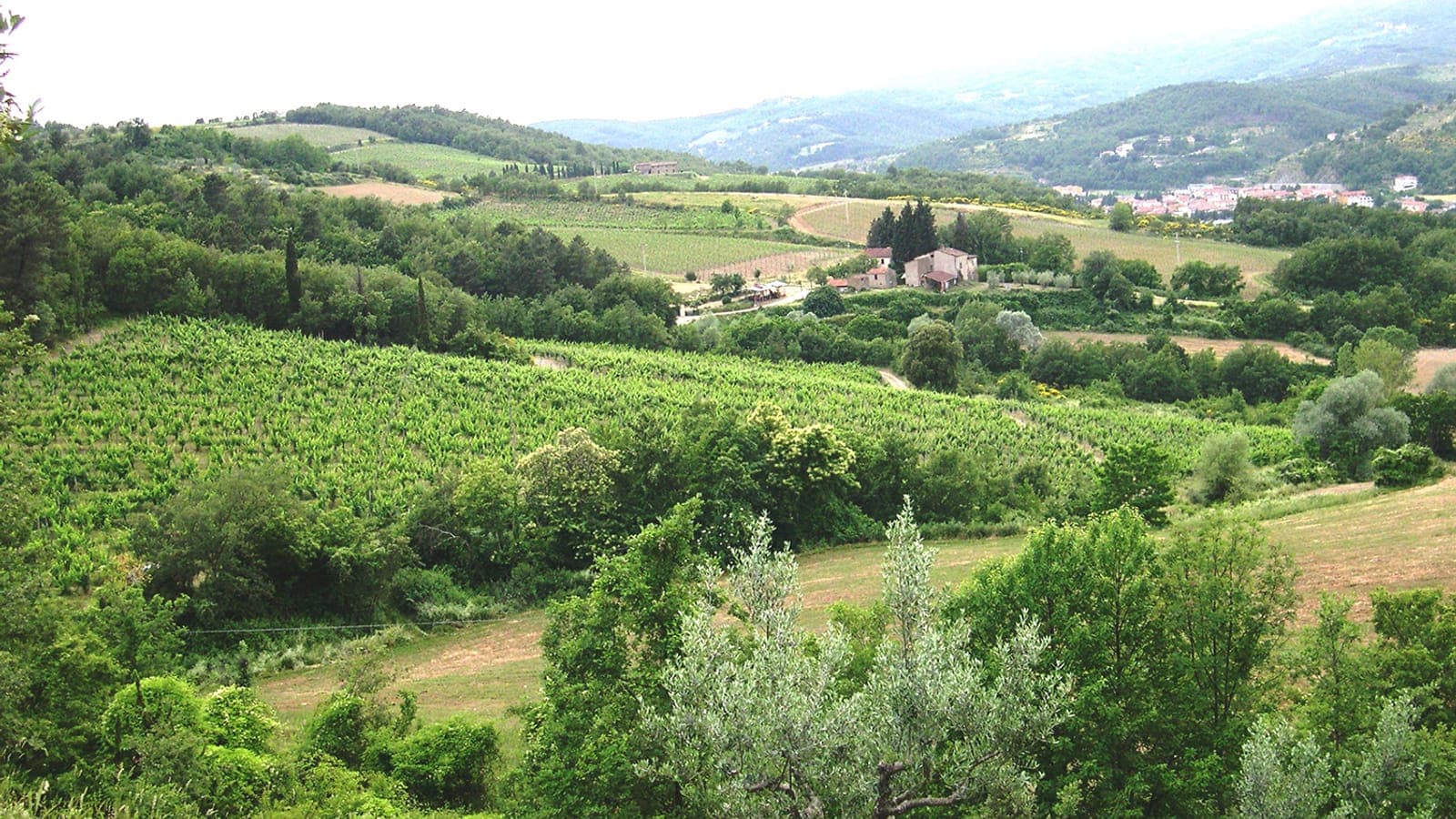 Poggiotondo