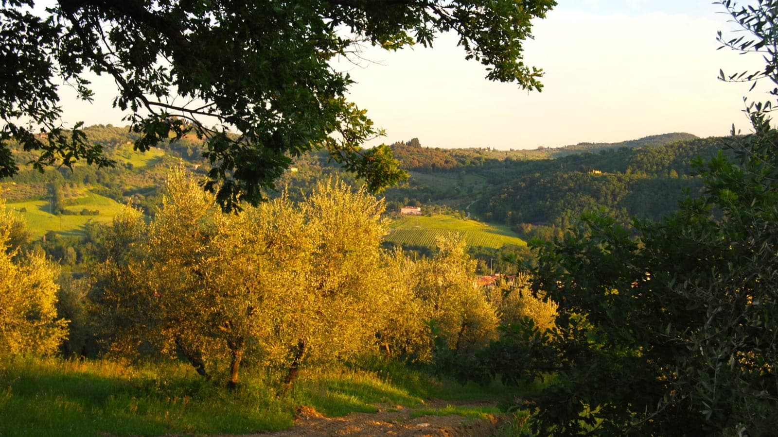 Azienda Agricola Balbi – Fattoria Il Capitano