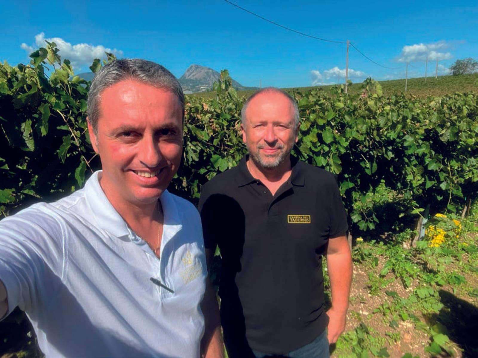 Cantina del Taburno update