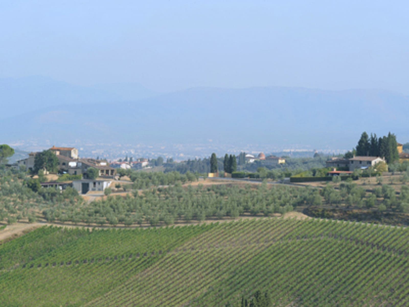 La Querce update